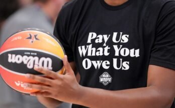De WNBA -kalender, de grootte van de uitlijningen en de officieren moeten ook worden behandeld