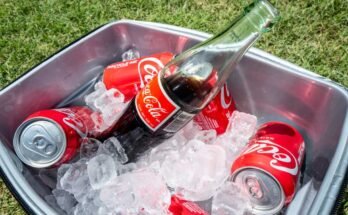 Coca-Cola-flessen en blikjes worden op het ijs weergegeven.
