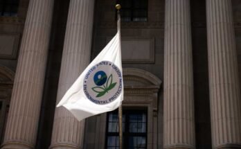 De bouw van het American Environmental Protection Agency werd gezien in augustus 2024 in Washington, DC, de Trump -administratie sluit de wetenschappelijke onderzoekseenheid van het bureau.